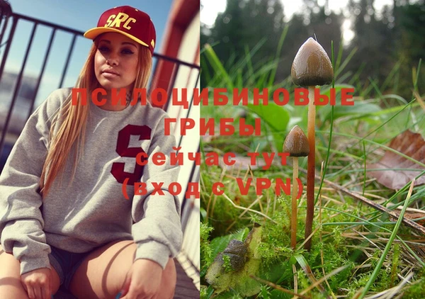 кокаин перу Каменка